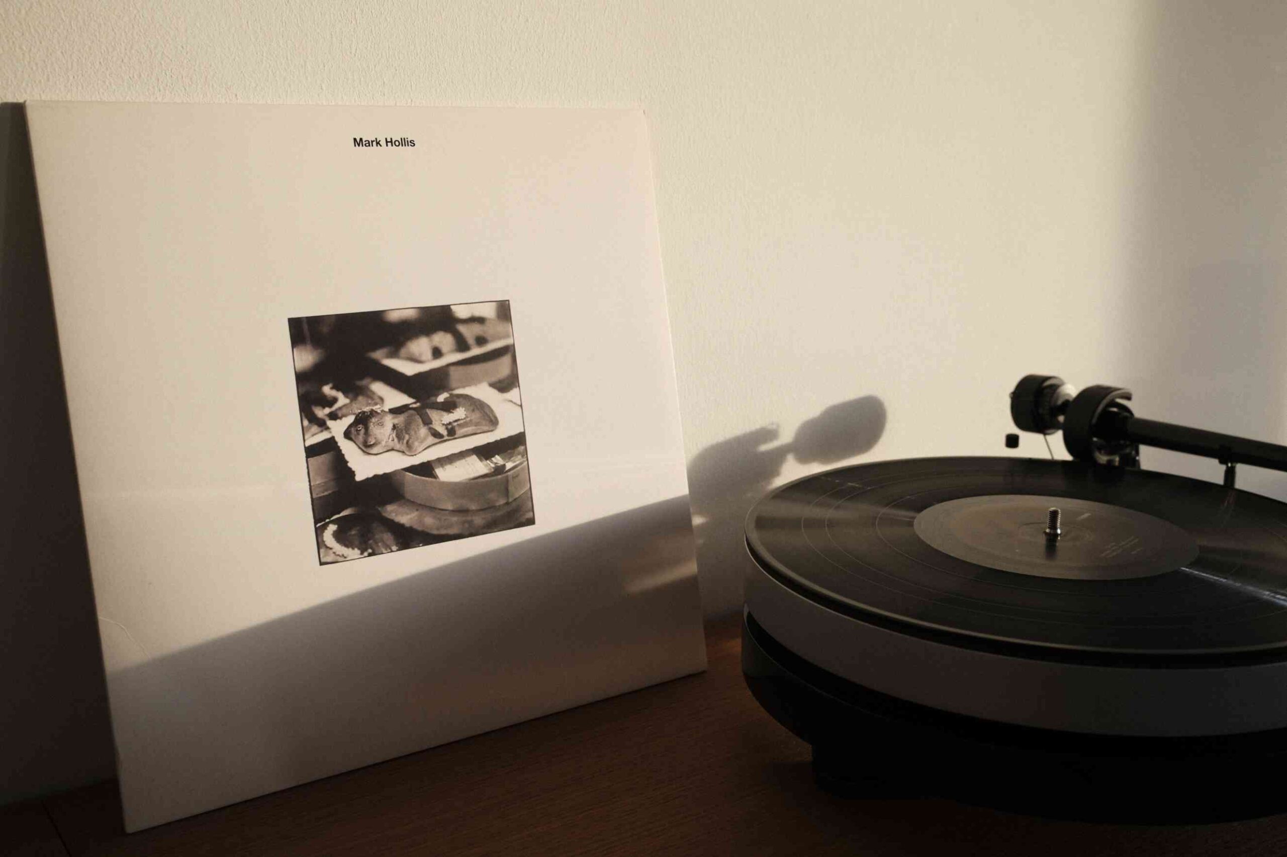 Shelved Memories: Mark Hollis – Mark Hollis